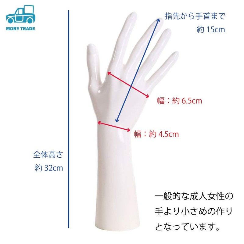 morytrade Women's Hand Mannequin Torso Mannequin Drawing Model Female Right