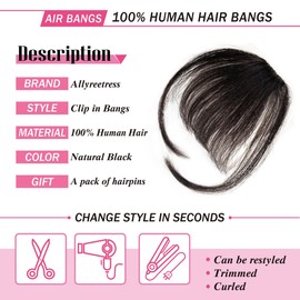 Allyreetress Clip in Bangs Clip in Hair Extensions Clip on Bangs Wispy Bangs Fringe with nice net Natural Flat neat Bangs Temples Hairpieces for Women Curved Bangs for Daily Party (Black Brown)