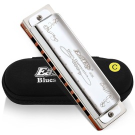 East top Harmonica Blues Harmonica 10 Hole Harmonica C Tone 10 Hole 20 Tone Brass Cover Canvas Case Clean Cloth Professional Diatonic Harmonica(T008K-SR-C-gm)