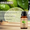 Lime Essential Oils 10ML, Organic 100% Pure and Natural Lime