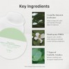 Fresh Green Tea Sunscreen by Dr.Althea