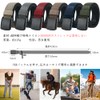 [LionVII] Men's Belt, Extendable, Double-Sided Reversible Stretch Belt, Work Clothes,