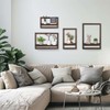 Walasis Wood Rustic Floating Shelves: 4-Piece Wall Shelf for Farmhouse
