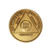 22 Year AA Medallion Traditional Bronze Raised Center Sobriety Chip