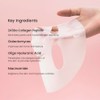 Biodance Bio Collagen Real Deep Mask Overnight Pore Eraser Hydrogel
