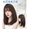 AISIHAIR Wig, Semi-Long, Medium, Brown, Straight, Full Wig, Long, Small