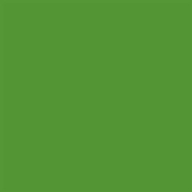 Winsor & Newton ProMarker Brush Marcador de Dos Puntas, Verde (Forest Green)