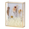 JUXYES 8x10 inches Gold Shadow Box Frame Dustproof Display Case