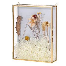 JUXYES 8x10 inches Gold Shadow Box Frame Dustproof Display Case with White Backplane, Clear Display Case for Collectibles, Keepsake Box Memory Box Picture Art Frame Collection Display Box, No Assembly