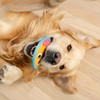 Outward Hound Tough Skinz Durable Squeaky Dog Toy with Two