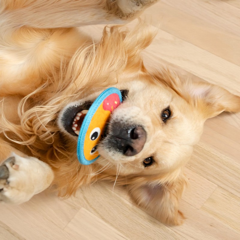 Outward Hound Tough Skinz Durable Squeaky Dog Toy with Two