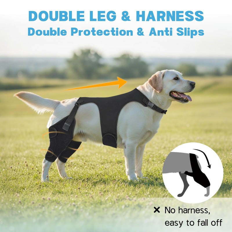 Marnonsis Dog Knee Braces for Back Leg,Support for Large Dogs,XL