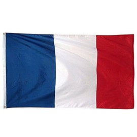 France 2'x3' Polyester Flag