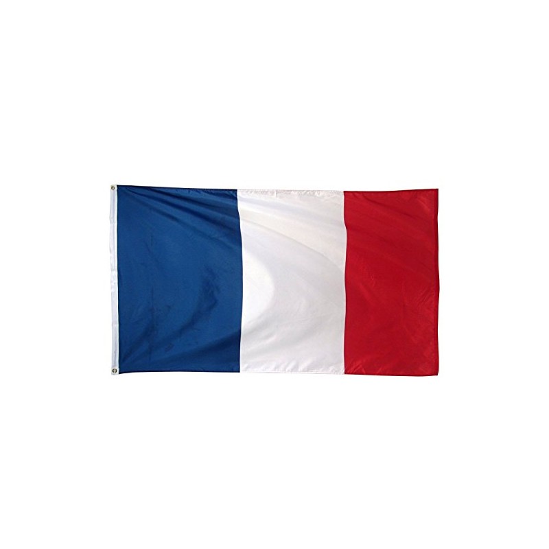 France 2'x3' Polyester Flag
