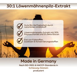 4 Month Supply: 360 Lions Mane Capsules with 2200mg Lion Mane Extract 30:1 (=66,000mg Hericium Erinaceus) in 3 Capsules = 10% Higher Dose - 30% Polysaccharides & 5% Beta Glucan - Vegan - plantomol®