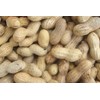 Bulk Raw Peanuts in Shell for Wild Birds and Squirrels 20 Pounds