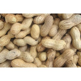 Bulk Raw Peanuts in Shell for Wild Birds and Squirrels 20 Pounds