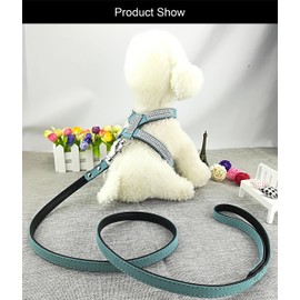 Newtensina Fashion Dogs Harness with Diamantes and Lead Cute Girl Bling Small Dog Harness with Leash for Dogs - Blue - L