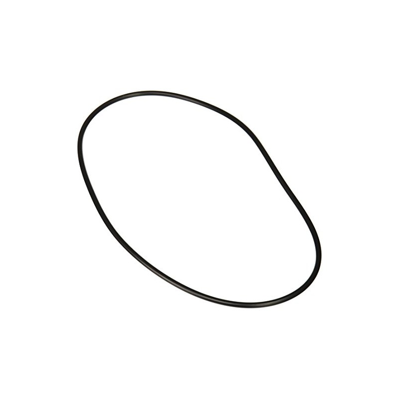 Zodiac R0446300 Backplate O-Ring Replacement for Select Zodiac Jandy Pool