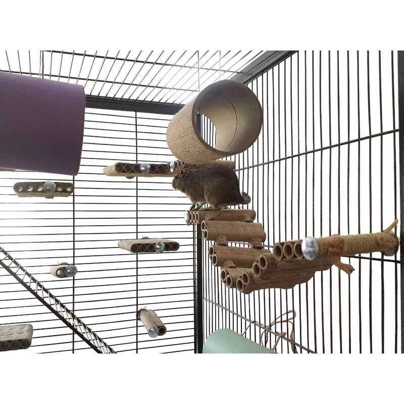 Chewchewbs Totally Degu 4 pack (Orange)