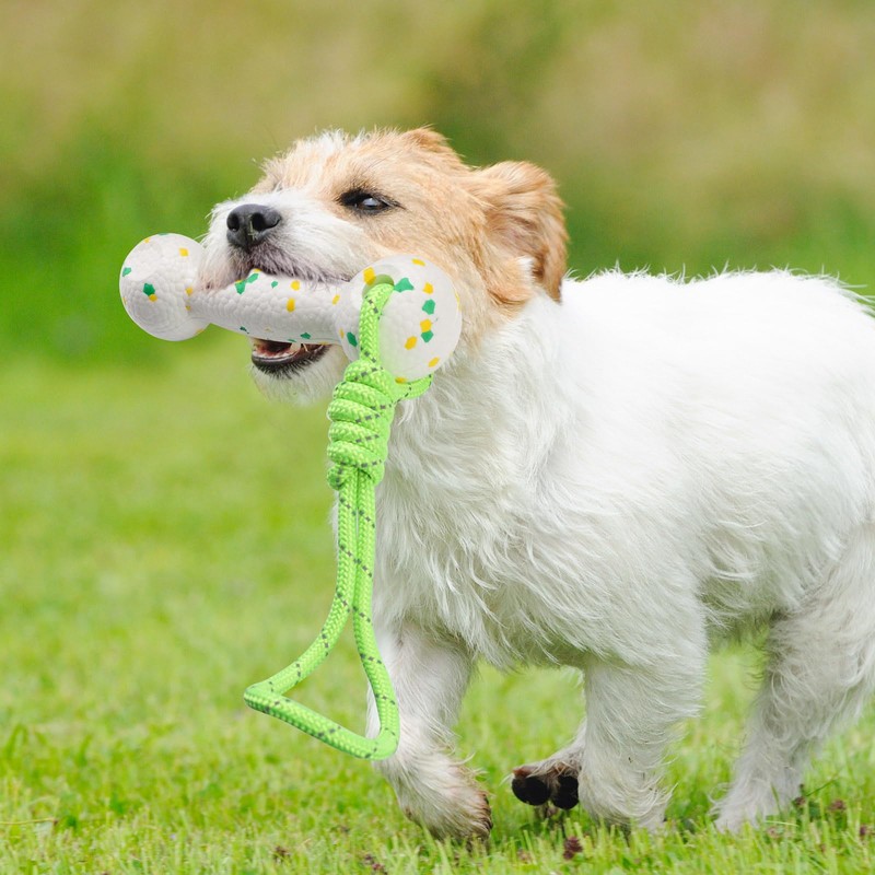 Roucerlin E-TPU Floating Dog Fetching Toys with Nylon Rope, Interactive