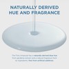 SKIN1004 Hyalu-Cica First Ampoule 100ml / 100ml Hyalu-Cica First Ampoule