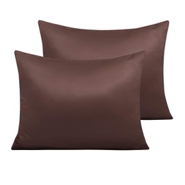 NTBAY Zippered Satin Pillow Cases for Hair and Skin, Luxury Standard Hidden Zipper Pillowcases Set of 2, 20x26 Inches, Dark Brown
