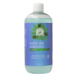 Shampoo Con Extracto De Cola De Caballo Productos Mart Mexico 500 Ml