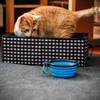 Pet Fit For Life Collapsible Portable Cat Litter Box (16"x12"x5")