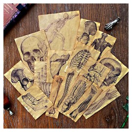 Vilikya Handmade Coffee-Dyed Junk Journal Paper, Vintage Ephemera Skeleton Human Anatomy Papers, 17PCS Aged Decoupage Paper for Scrapbook Supplies, Journaling, DIY Crafts, and Wall Collage Decor Kit