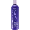 Shimmer Lights Blonde and Silver Conditioner by Clairol for Unisex