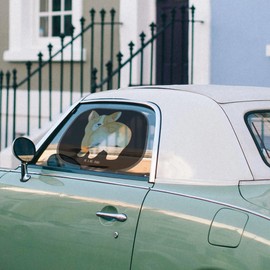 Mr. & Mrs. Panda Car Sun Shade Corgi Po Gift Cute Dog Love Dog Owner Sun Shade Car Window Wauwau Dog Motif Sun Protection