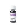 In Essence Sleep Essential Oil Blend 10ml