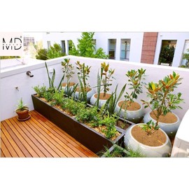 Coconut Fiber Tree Protector Mats, 10 inch, Pack of 10, Coco Coir Mulch Rings for Plants, Indoor/Outdoor