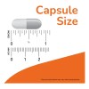 Glicina 1000 mg Cápsulas Glycine 1000 mg Supplement, 100 Caps