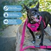 Best Pet Supplies Voyager Adjustable Dog Harness with Reflective Stripes