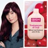 Hair Dye Casting Creme Gloss Without Ammonia N360 Black Cherry