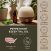 Gya Labs Peppermint Essential Oil - 1.02 Fl Oz -