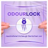 Always Daily Protect Normal Pantiliners, Pack of 64, Odour Control,