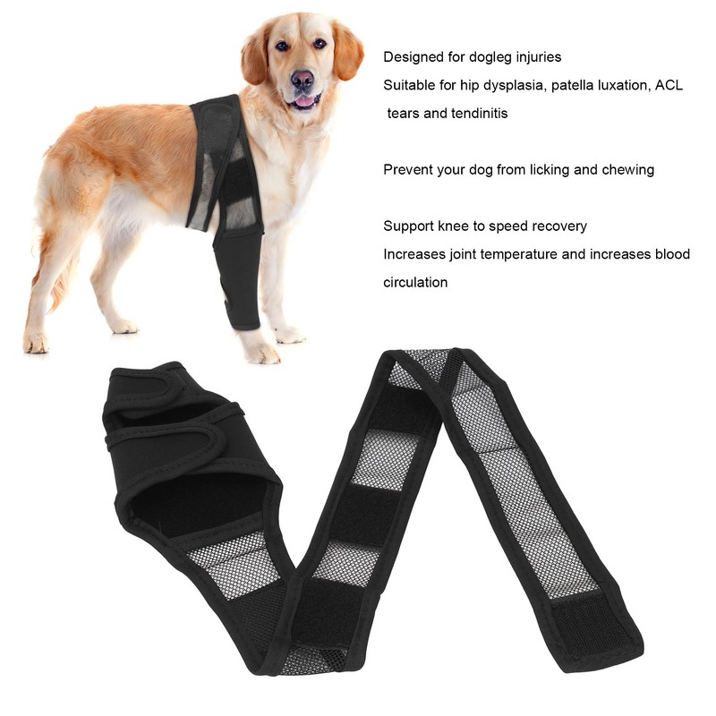Dog Knee Brace Accelerate Recovery and Blood Circulation Dog Torn
