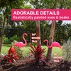 Galashield Pink Flamingo Yard Decorations Pack of 2 Flamingo Decor