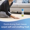 BISSELL Heavy Traffic Carpet Foam, Gain, 22oz (Pack of 4),