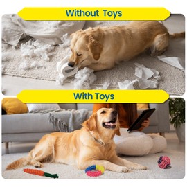 Albert Austin 10 Pcs Dog Chew Toys Indestructible Dog Toys with Rope Toys Easy to Wash Puppy Toys Dog Toys Interactive Activity Squeaky Toy for Reduces Anxiety Dog Teething Toys for Small Medium