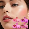 Blush Lip Stick - Cream Blush Stick Eyeshadow Makeup,Jelly Texture