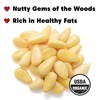 Wilderness Poets, Organic Pine Nuts, Fresh, Sweet, Creamy & Buttery