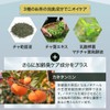 Reden Body Soap Tea Musk Sweat Odor Cleansing with Bitter