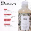R+Co Dallas Thickening Shampoo, 8.5 Fl Oz