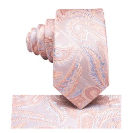 Hi-Tie Pink Boys Ties 8-10 Silk Self-Tied Paisley Kid Ties for Boy 10-11 Youth Necktie and Pocket Square Set for Party