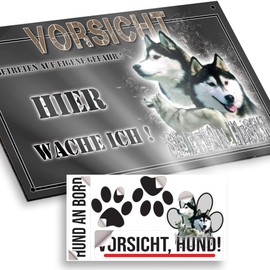 hier wache ich hund Siberian Husky 29/18 cm