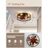 Curve Curio 18 Inch Farmhouse Caged Ceiling Fan with Light,